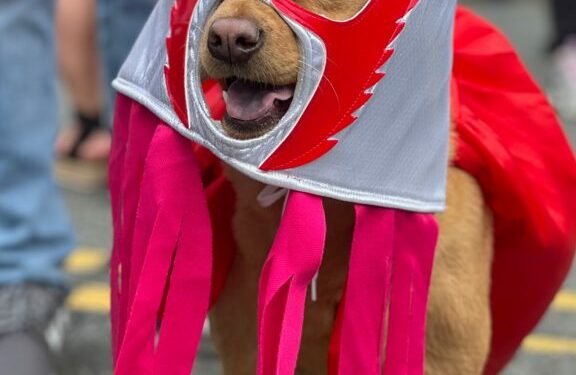 “Cinco de Mayo” y su fiesta latina
