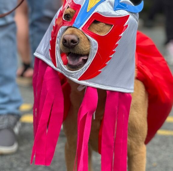 “Cinco de Mayo” y su fiesta latina