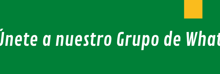 Servicios Galu