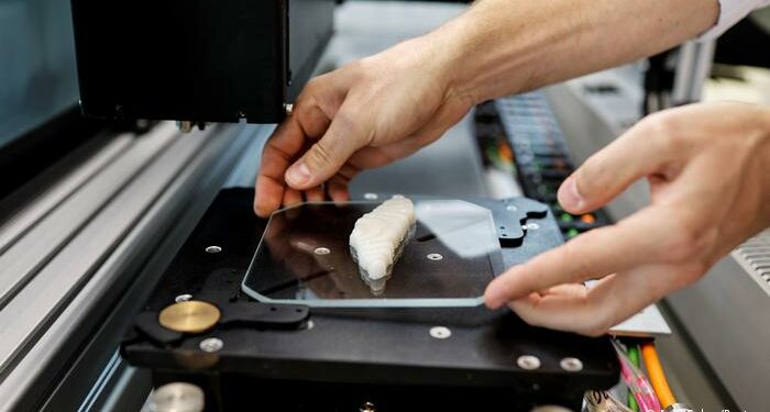 Crean el primer filete de pescado impreso en 3D listo para ser ¡cocinado!