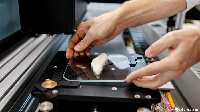 Crean el primer filete de pescado impreso en 3D listo para ser ¡cocinado!