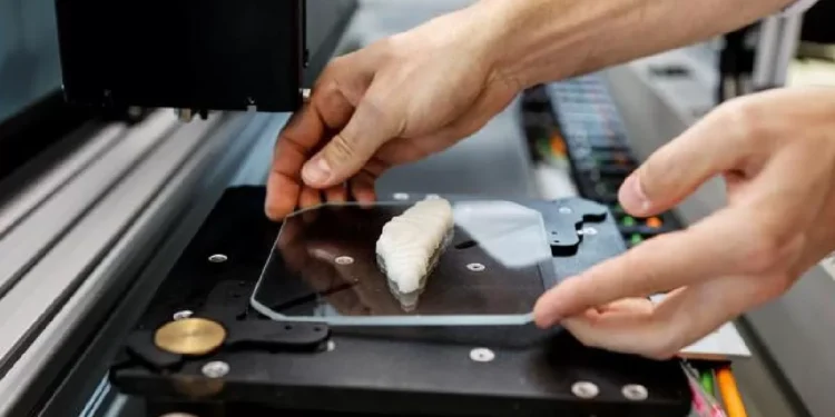 Crean el primer pescado comestible impreso en 3D — Radio Concierto Chile