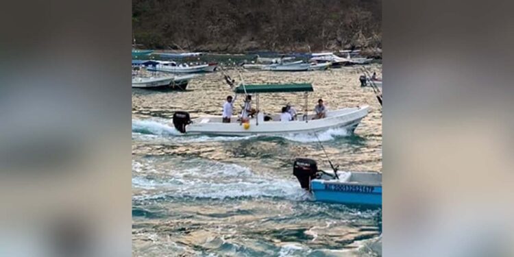 Cuenta regresiva al Torneo Internacional de pesca de Huatulco