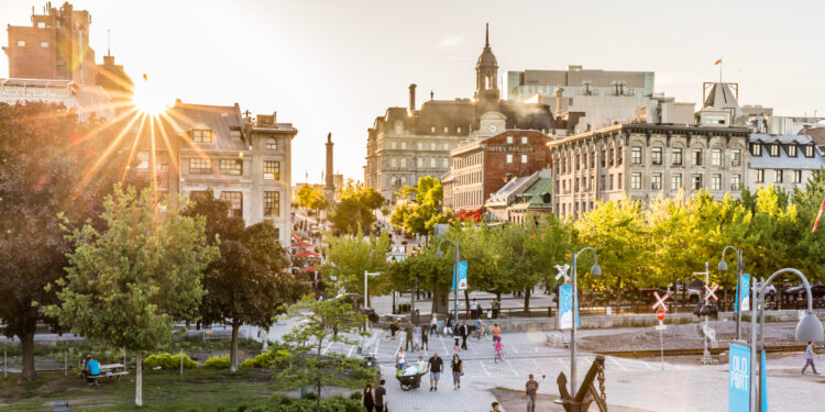 El multiverso de Montréal, a tu disposición