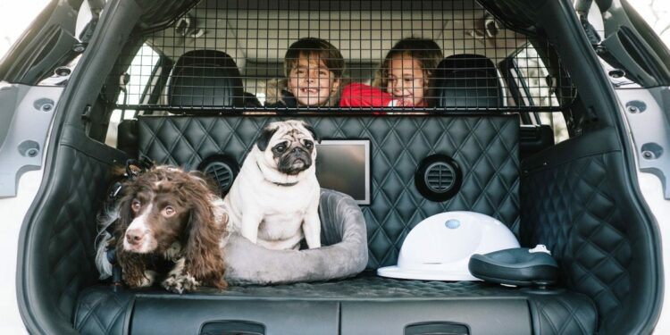 El tipo de coche que las mascotas prefieren para viajar
