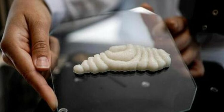 Israel desarrolla el primer filete de pescado 3D totalmente comestible Grupo Milenio