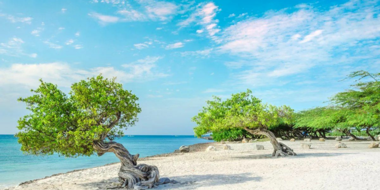 La playa con árboles elegida entre las mejores del mundo