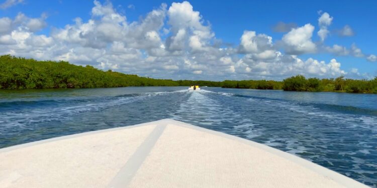 Los 4 mejores tours en Cancún
