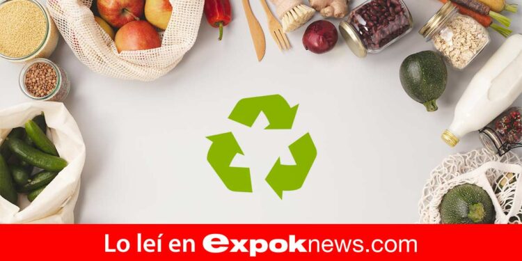 Mercado de alimentos reciclados ¿podría aliviar el hambre en el mundo?