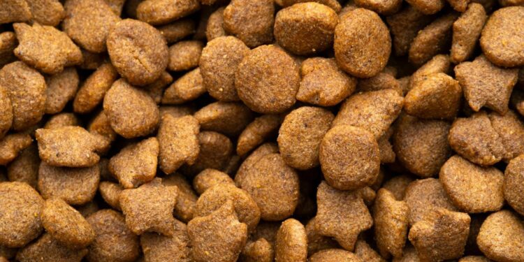 Close up of dry dog food kibble, representing the Midwest Pet Foods settlement.