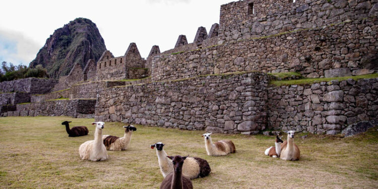 Perú: Un destino inolvidable para coronar el amor de mamá - Technocio