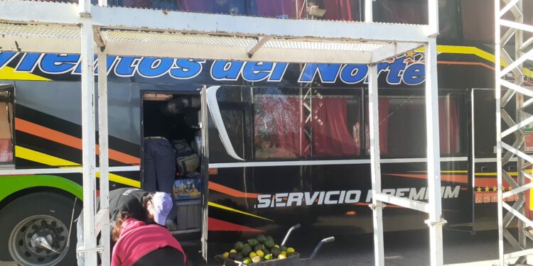 Río Negro: Se evitó el ingreso de frutas sin tratamiento cuarentenario a la Patagonia