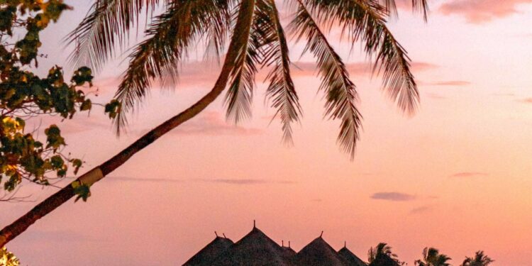 Seychelles: qué ver, cómo viajar y cuáles son sus mejores playas