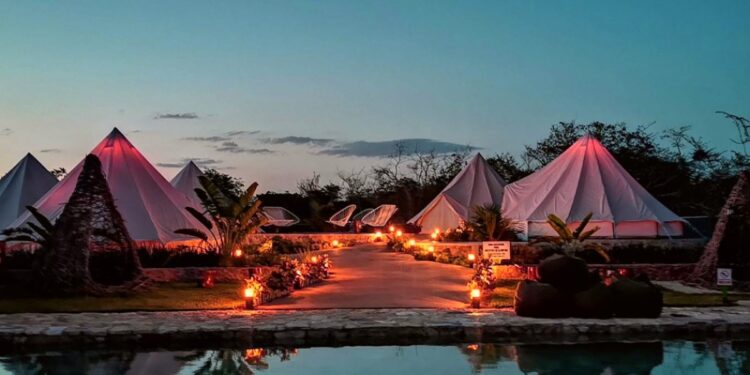 Te encantarán estos hoteles pet friendly de Yucatán