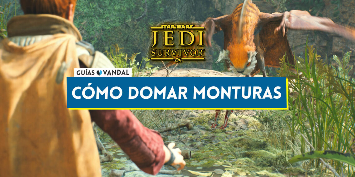 Tipos, cmo domarlas y localizacin