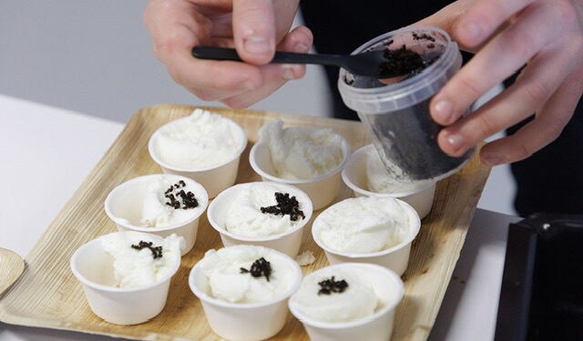 Un centenar de personas aprenden sobre la utilización de los insectos en la...