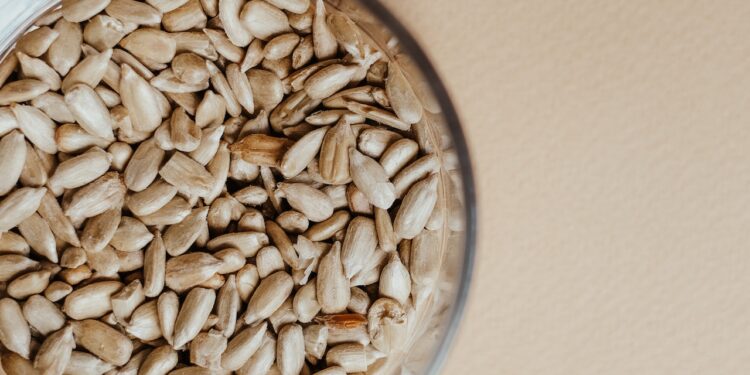 Las semillas de girasol, uno de los ingredientes principales del nuevo producto de More foods, son muy ricas en potasio, un mineral imprescindible a la hora de regular el metabolismo del agua en el organismo. Foto: Vie Studio/Pexels.