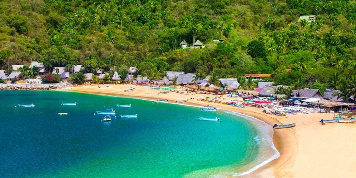 Viajes en Jalisco. Anuncian sorteos de recorridos gratuitos Grupo Milenio