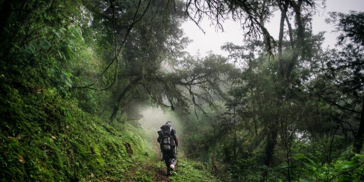 un viaje por la riqueza de nuestro país