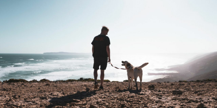 ¿De ‘pata de perro’? 5 razas ideales para acompañarte en tus viajes