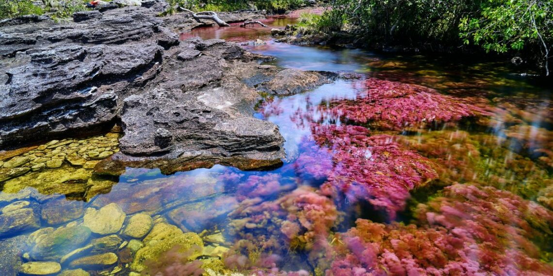 ¿podría ser el río más bonito del mundo?