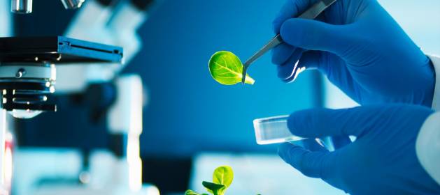 ‘Foodtech’: la alimentación del futuro