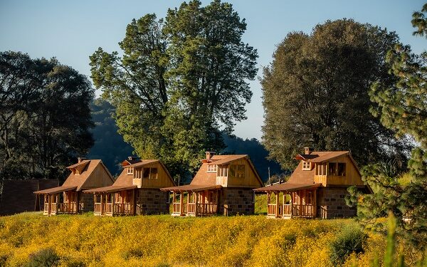 Duerme con el brillo de cientos de luciérnagas a tu alrededor
