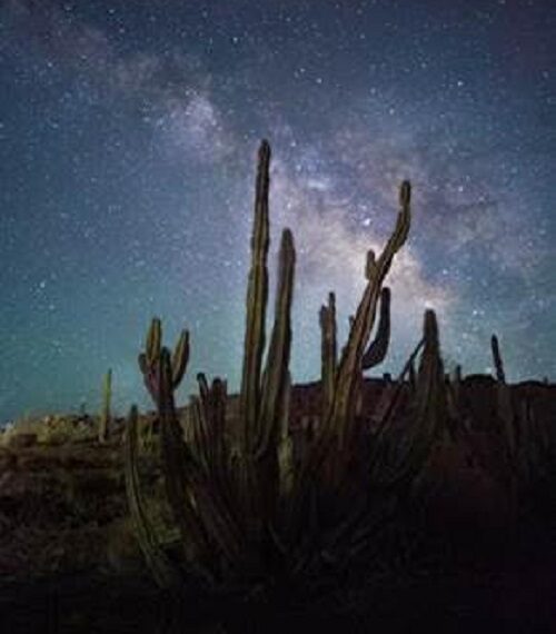 Andrés Valle nos enseña cómo alcanzar las estrellas de la mano de Huawei