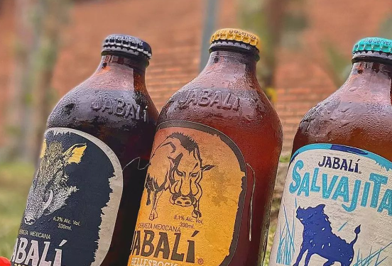 ¿Qué tipo de cerveza artesanal eres según tu personalidad?