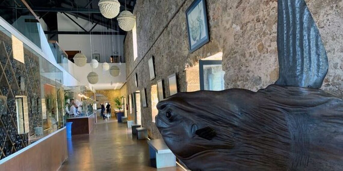Aponiente, entre los 100 mejores restaurantes del mundo