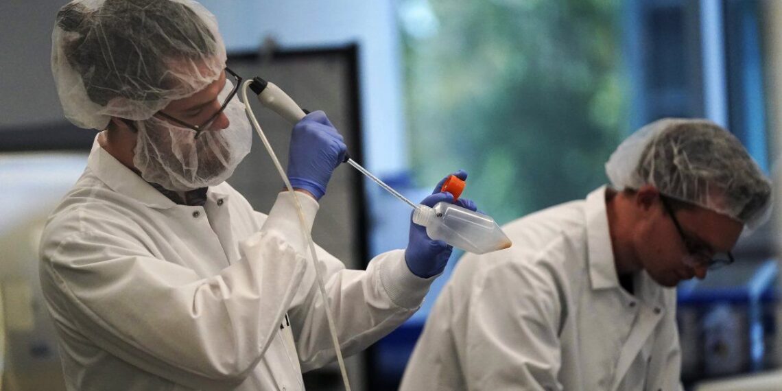 Aprueban la venta de carne de pollo salida de laboratorios
