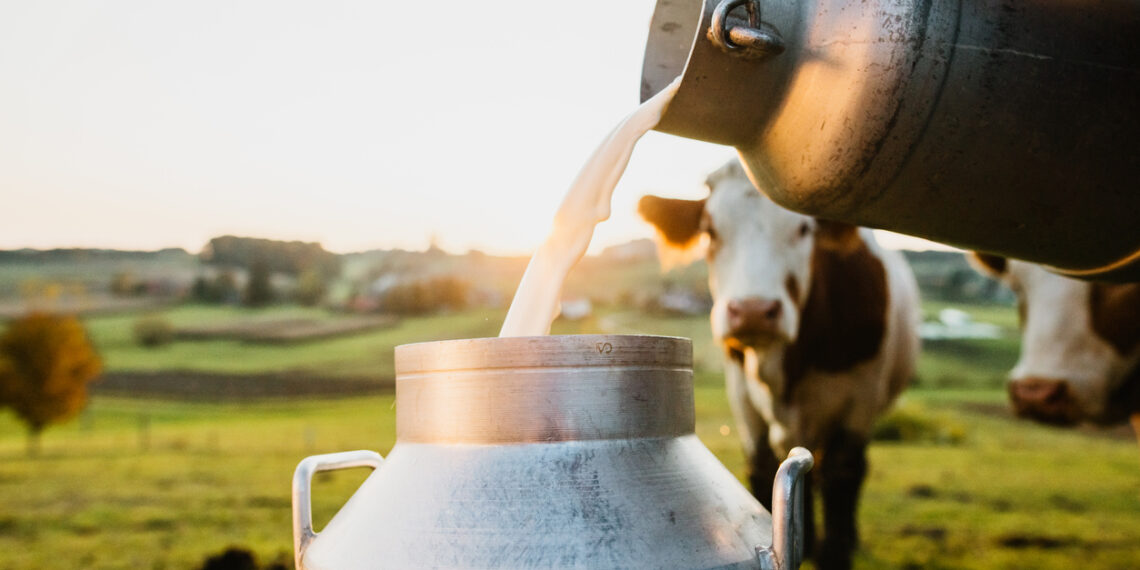 Nestlé: productos lácteos a partir de leche artificial