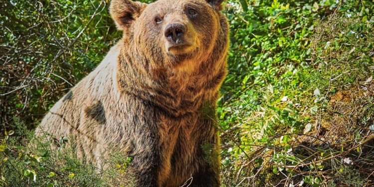 Asturias: experiencias MICE en clave de sostenibilidad