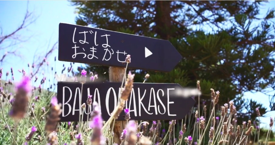 Celebra el día del Sushi con experiencia Bajapones en el Valle de Guadalupe