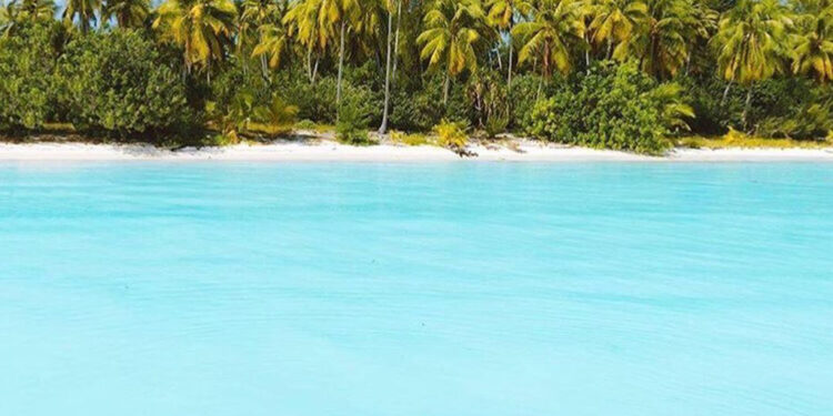 Agenttravel.es - Noticias para el profesional del turismo