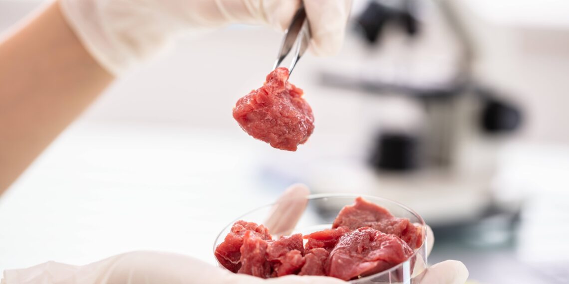 Agricultura celular se concerá como la carne del futuro: Upside Foods