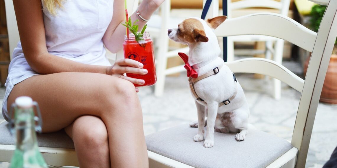 Conoce los restaurantes pet friendly de Cancún