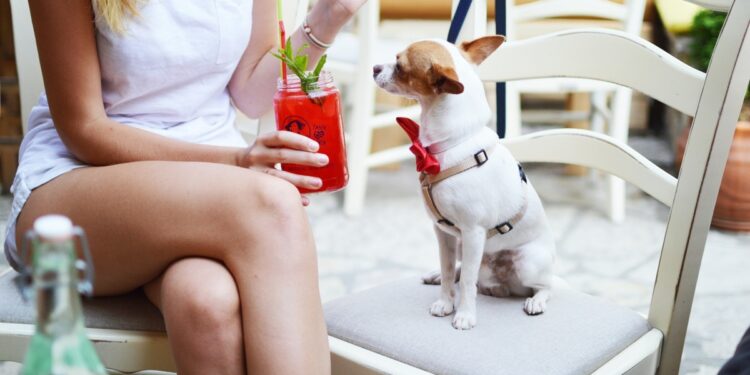 Conoce los restaurantes pet friendly de Cancún