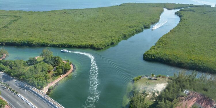 Ofrecen Diplomado gratuito sobre el Caribe Mexicano » ¡ Uniendo al Caribe !