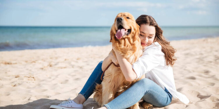 Encontrar los mejores sitios para disfrutar con el perro de la mano del buscador pet friendly de ADOPTA