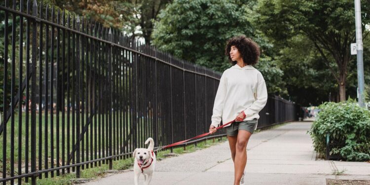 pasear junto a tu perro