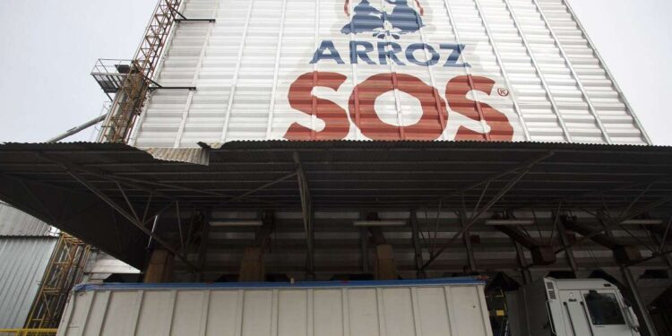 Ebro lanza un plan de desinversión inmobiliaria y comprará empresas de arroz y pasta este año