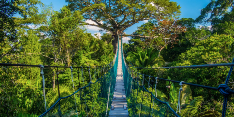 inicia tu viaje por la Amazonía peruana