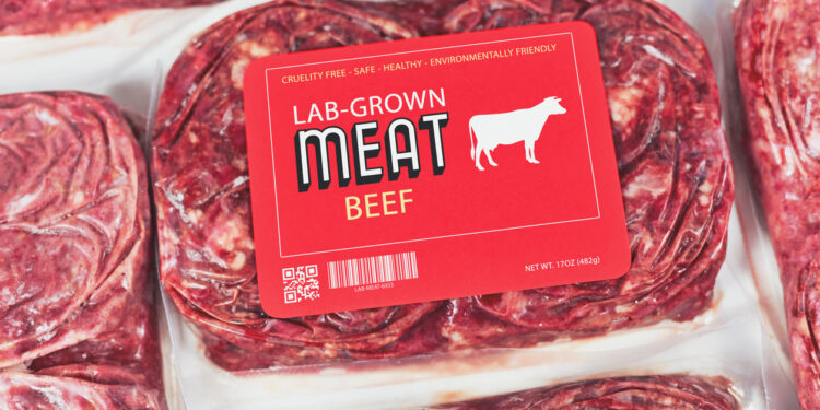 La mayor fábrica de carne de laboratorio estará en España Emprendedores