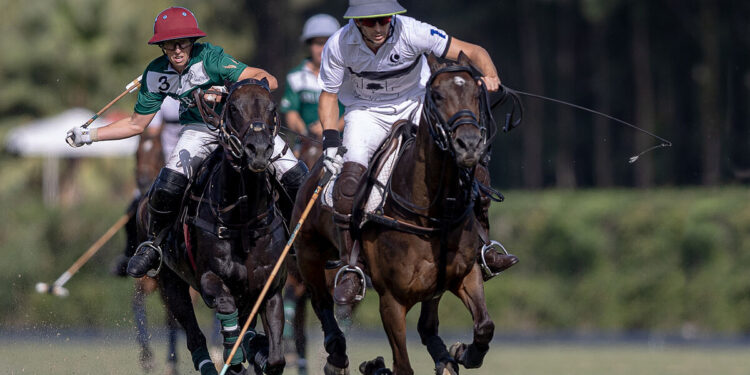 Planes para disfrutar de Sotogrande este verano