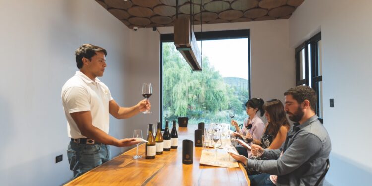 Cmo es el nuevo wine bar que abri en Cafayate