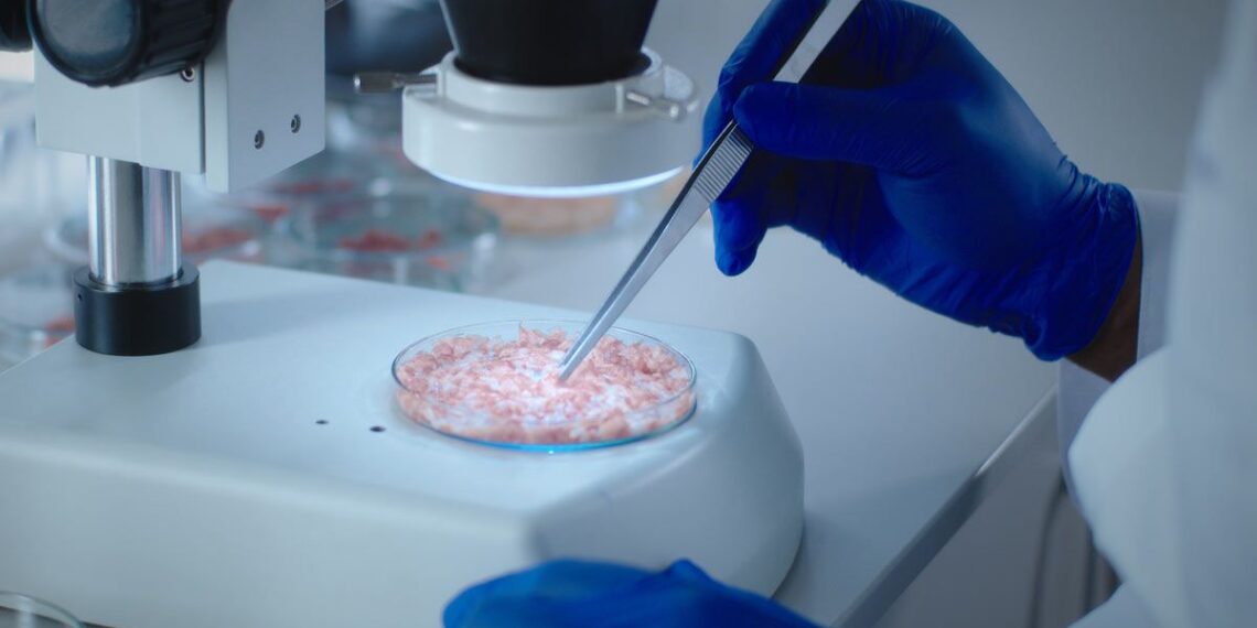 A lab worker examining lab grown chicken, representing the USDA's approval of lab-grown chicken.