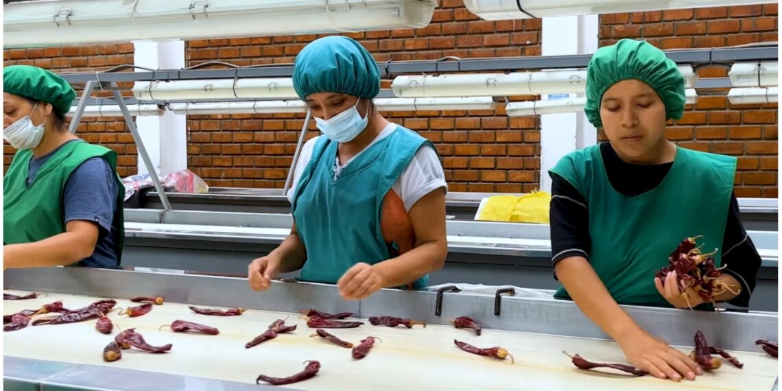 Huacho: Barranca se convirti en uno de los principales exportadores en el mundo