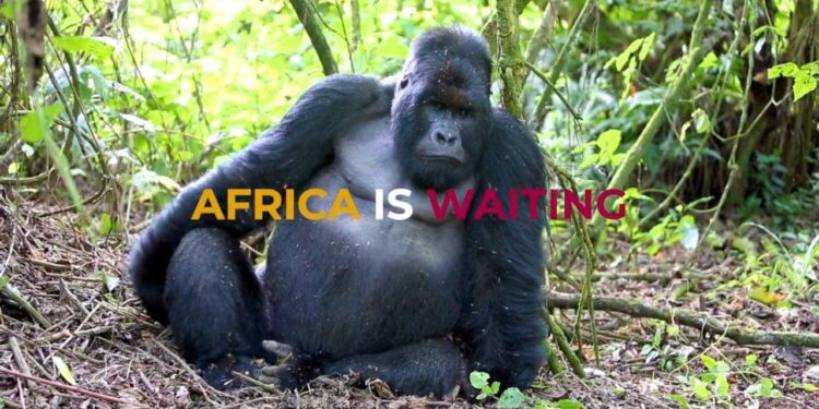 Madrid abre una nueva ventana dedicada a África