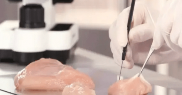 Las carnes fake no se rinden